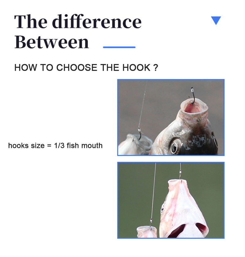 10 زوج خطافات صيد السمك مع الل - مراجعة Fishing Hook Assortment وسعره
