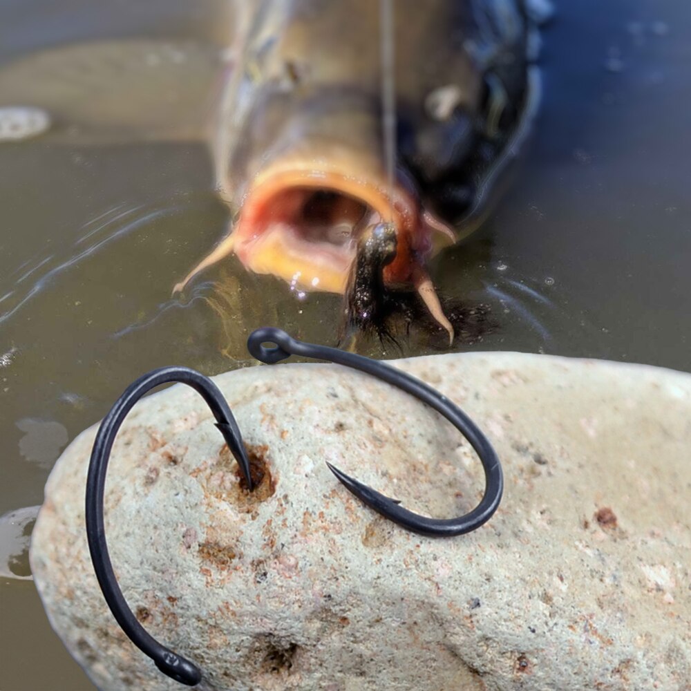 خطافات صيد سمك الشبوط هيريسي 5 - مراجعة Fishing Hook Circle وسعره